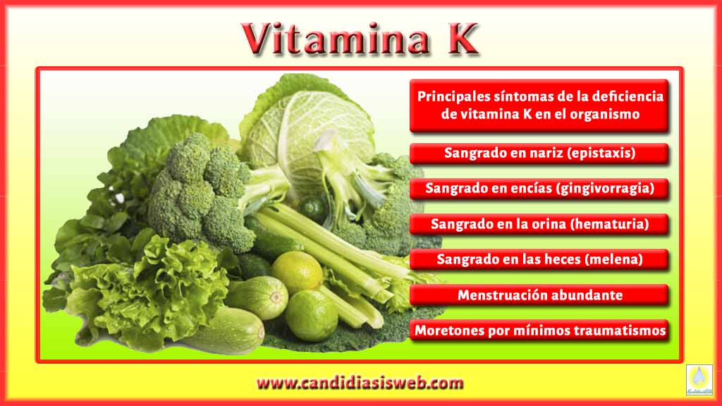 Vitaminas - Vitamina K