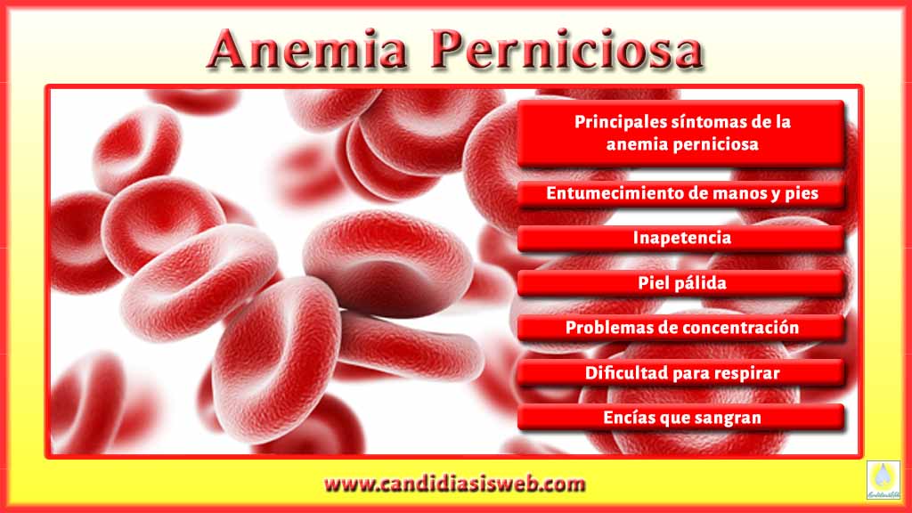 Tipos de Anemia - Anemia Perniciosa